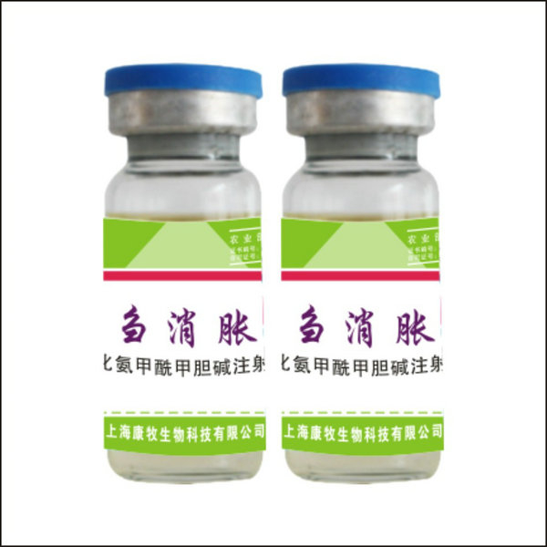 反刍消胀灵